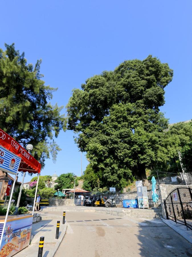 Smjestaj Djurdjevic Herceg Novi Exterior foto